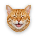 Pointer Paws icon: a smiling orange tabby